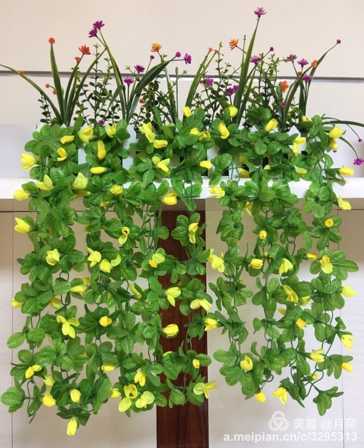 岁月静好浅笑安然免费,岁月静好浅笑安然免费阅读