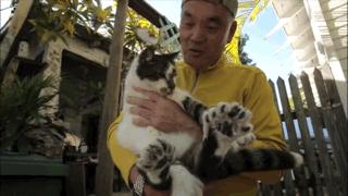 大家都在争抢猫爪杯？吸猫的最高境界，带着摄影机“猫步走天下”