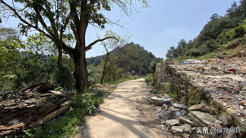 千岛湖湖心灯塔,入筑返筑最新要求