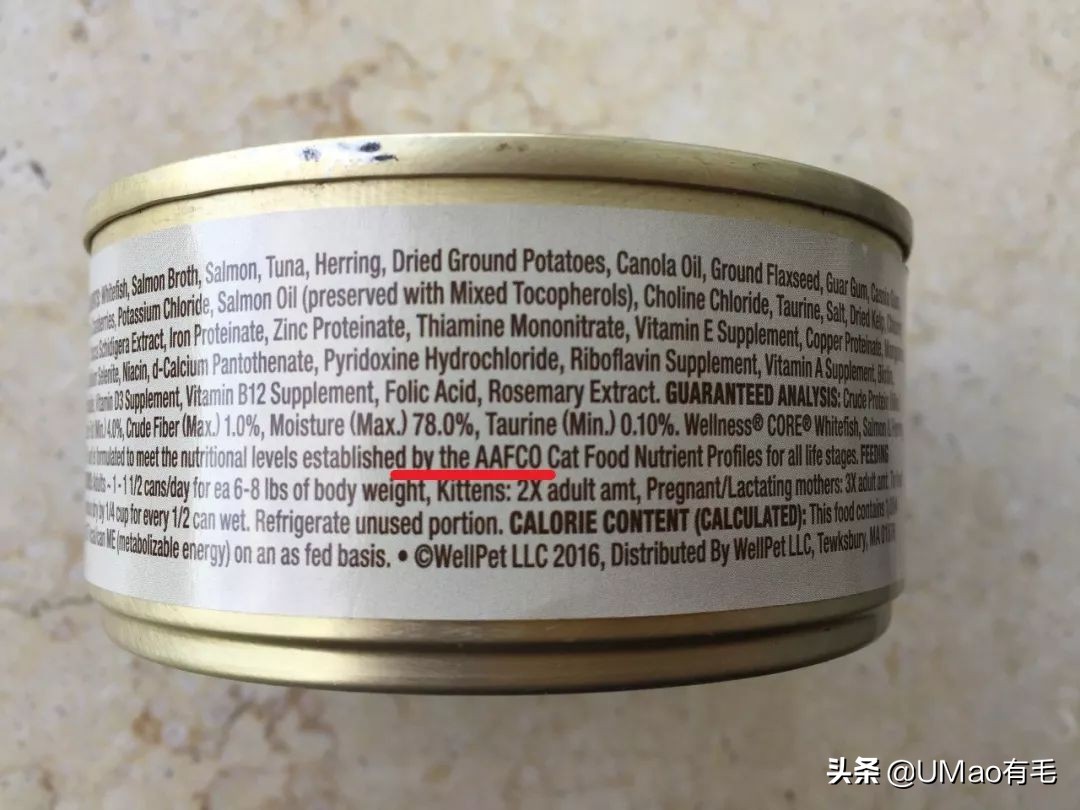 零食罐和主食罐吃哪个,主食罐零食罐