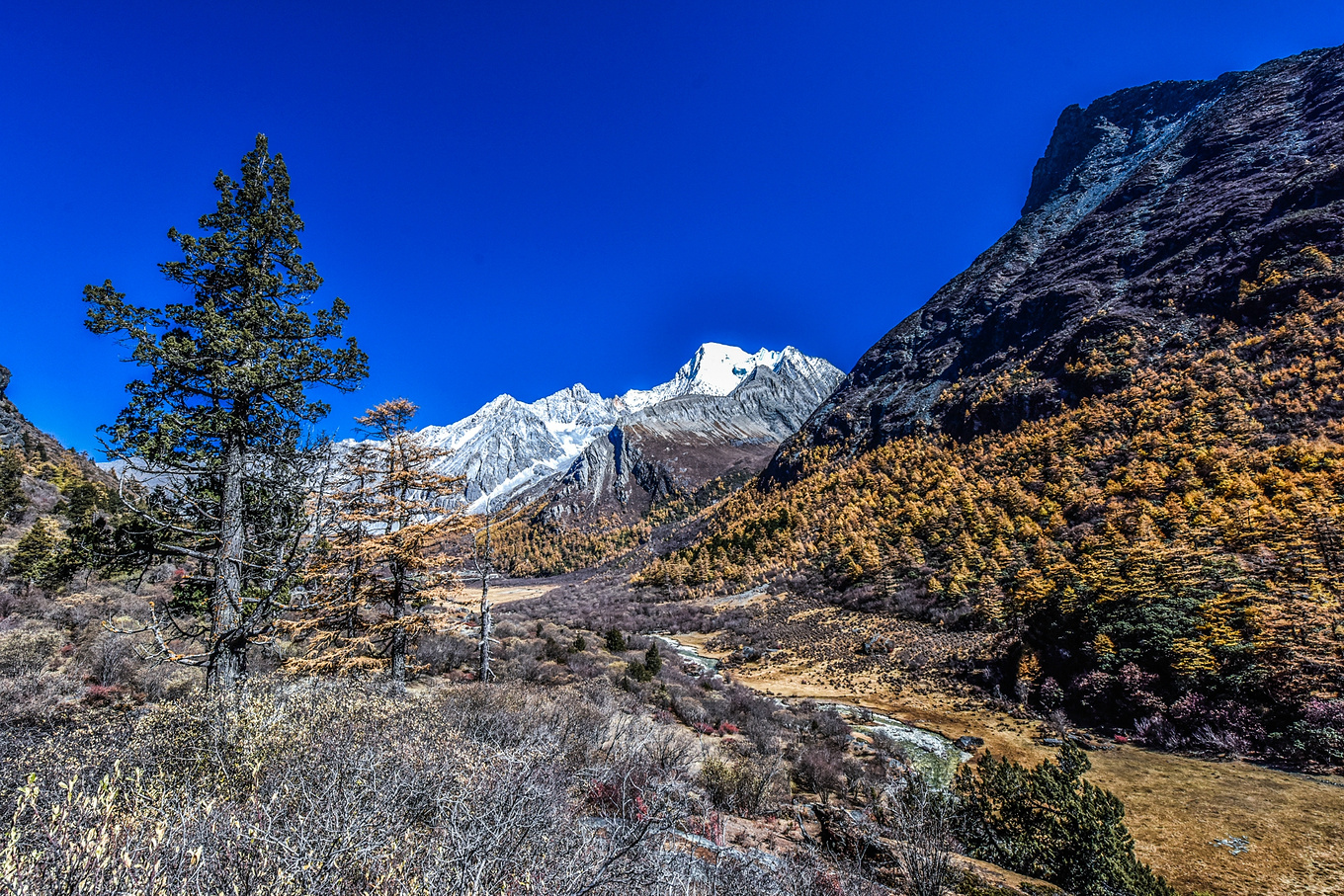 四川甘孜的亚丁稻城,四川稻城亚丁蓝色星球上的净土