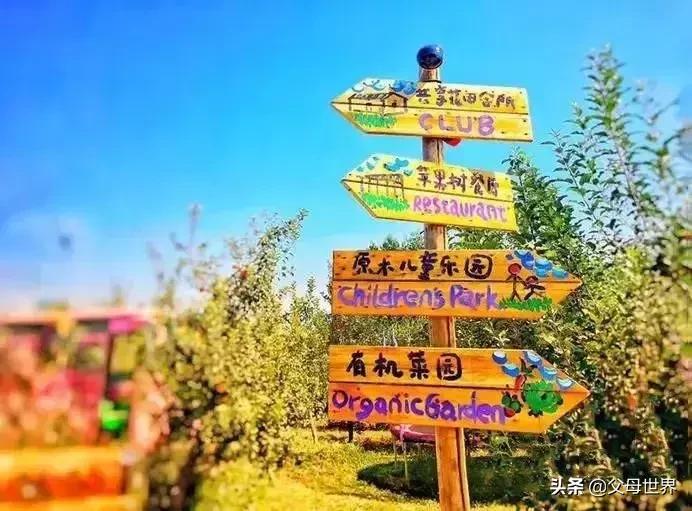 国内不太偏的亲子小众旅游 (全球最适合亲子游的十大旅游胜地)