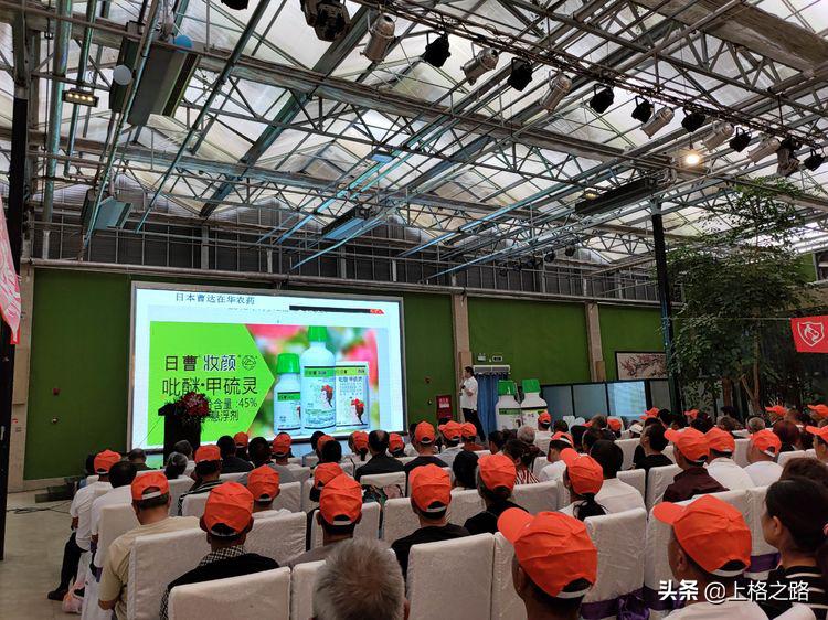 眉山柑橘推介会,眉山柑橘技术