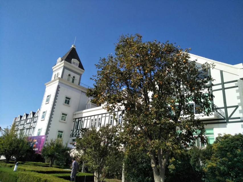 张裕卡斯特景区,张裕卡斯特酒庄游览攻略