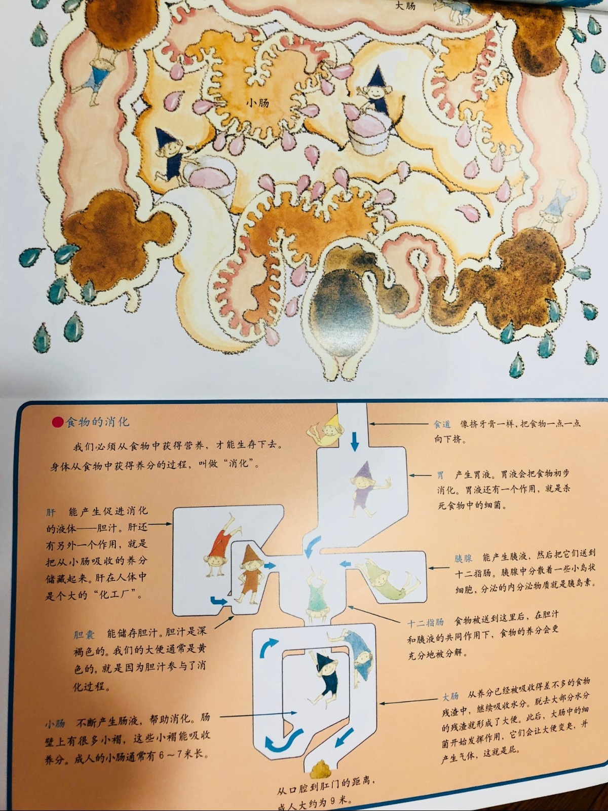 关于拉便便的绘本故事,娜娜拉便便绘本故事