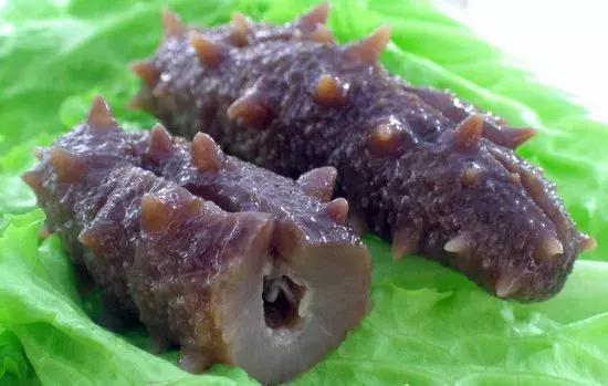 海参蒸蛋海参泡发的正确方法,海参咬不动海参泡发的正确方法