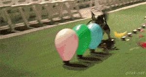 搞笑小萝莉图片,搞笑版小萝莉