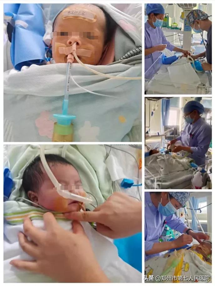 守护与重生——记CSICU逆境中前行的八月