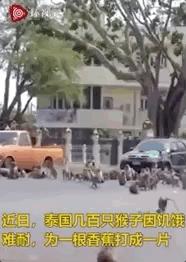 疫情当下快失业了怎么办,疫情期间下岗失业人员补贴政策