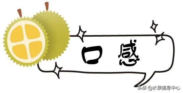 托曼尼猫山王榴莲价格,泰国托曼尼榴莲和猫山王区别