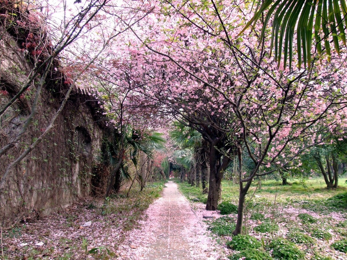 五律杜甫王维,杜甫孟浩然五律