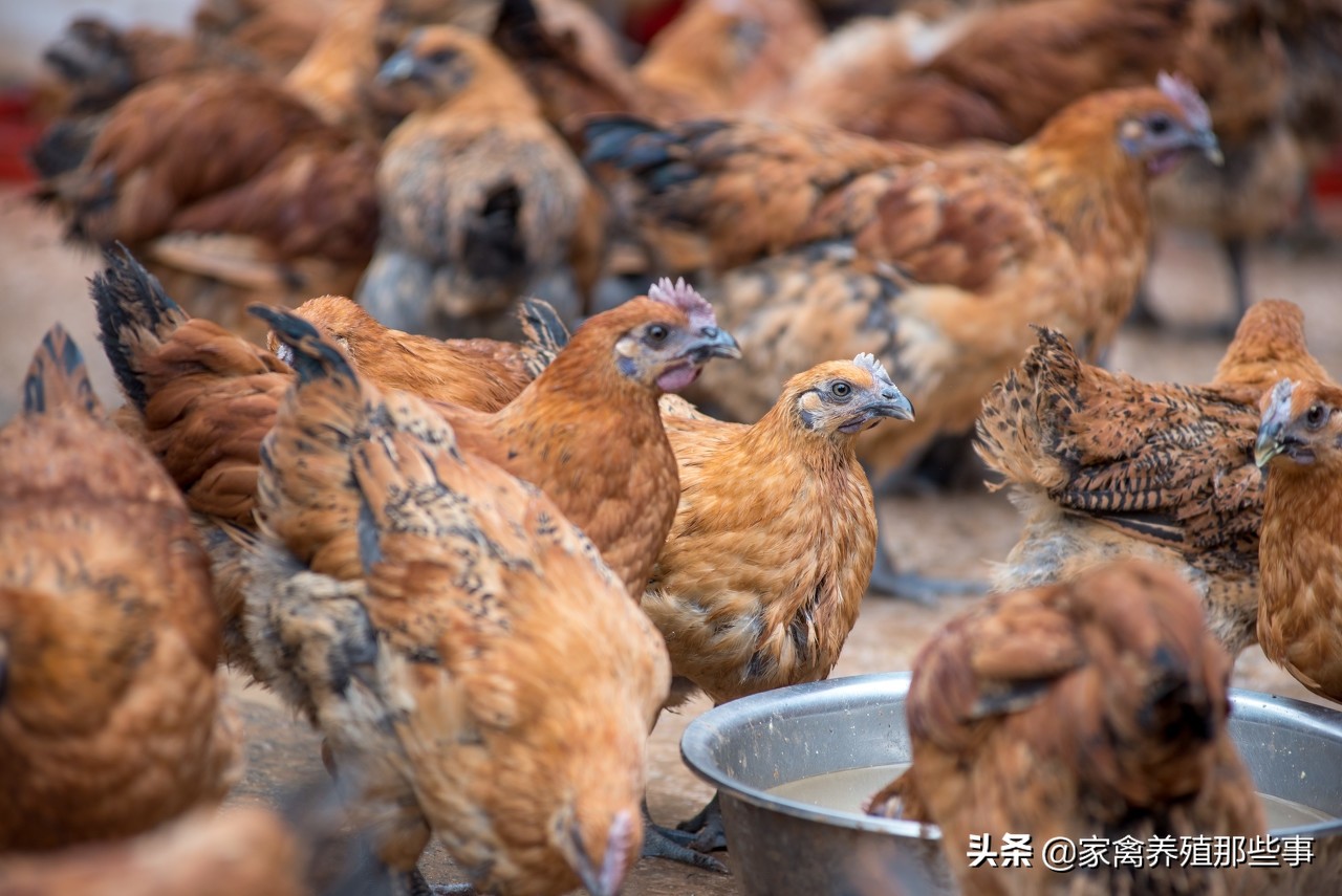 滑囊炎症用什么药有效,滑液囊反复发作怎么办