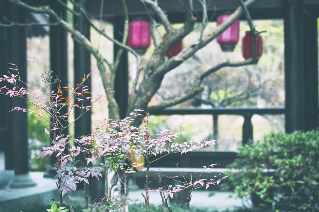 舟山市海洋名城,舟山蓝色海湾