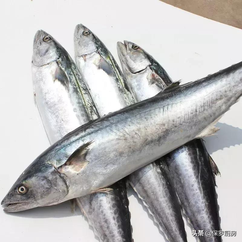 海鲜大荟萃,常见贝壳类海鲜