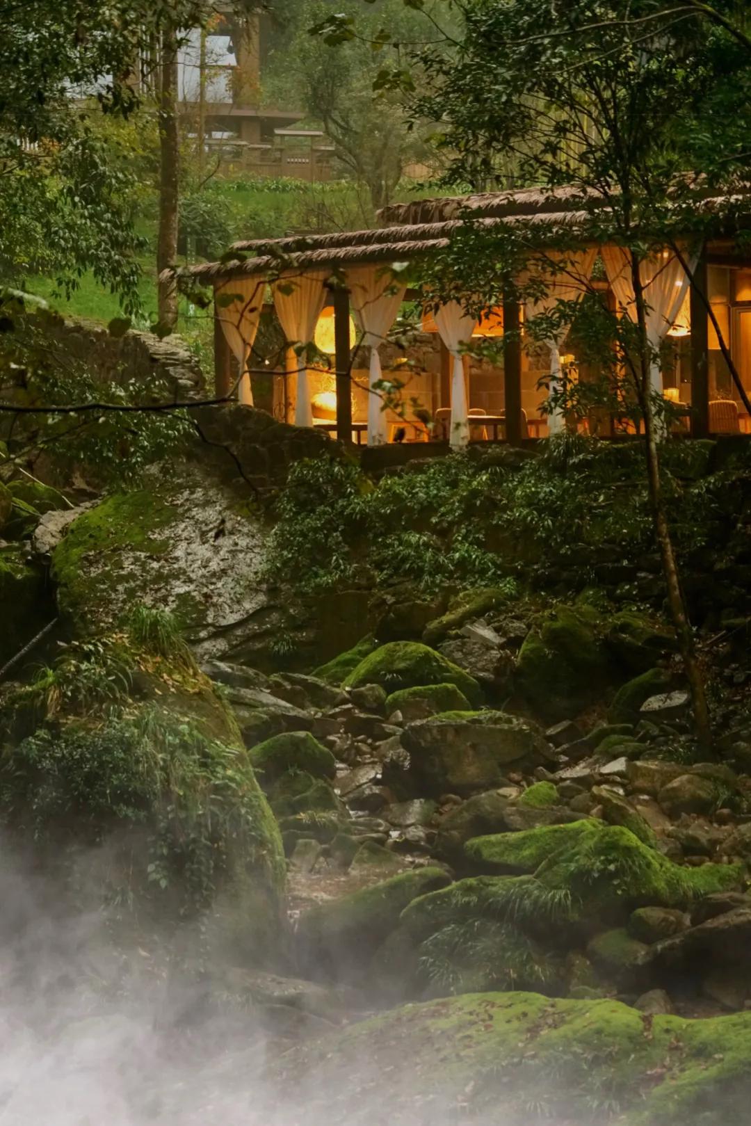 森林秘境的温泉,森林里野奢温泉度假酒店下午茶