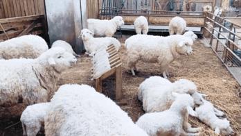 越来越飘,日入10亿的商场我也敢....