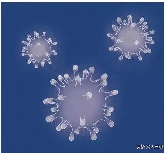 抗疫幼儿园小故事,抗疫先锋钟南山故事