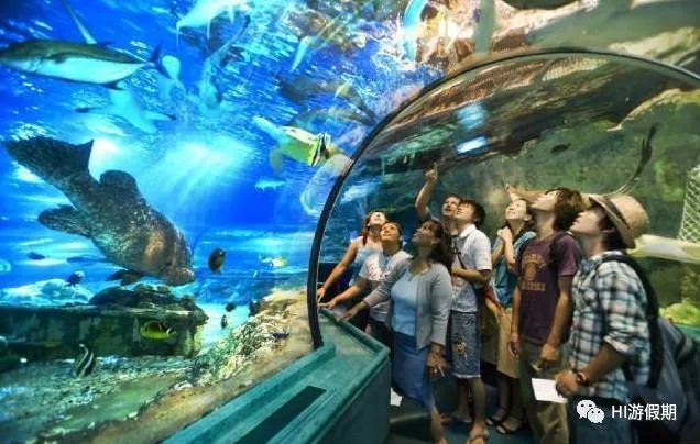 关岛：风情万种的人间净土