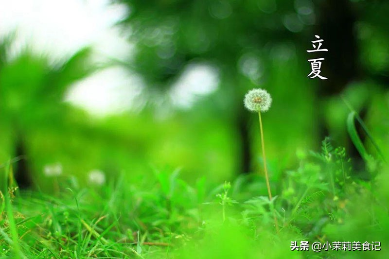 立夏祛湿气最好的方法,立夏后做好这几招养生又除湿