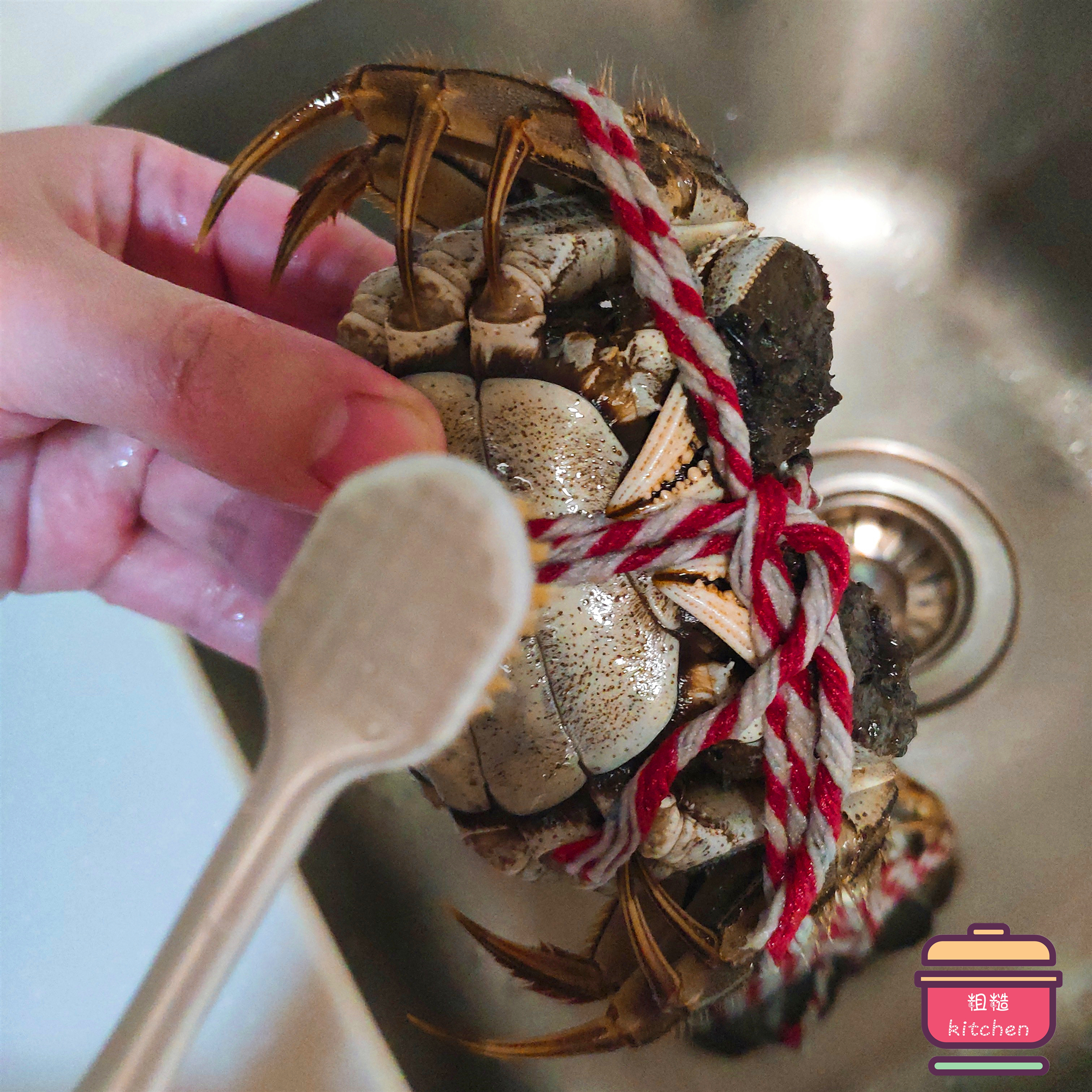 清蒸大闸蟹有什么妙招才好吃,如何清蒸大闸蟹不流黄