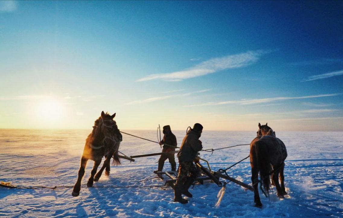 东北全鱼宴 (东北最正宗的全鱼宴)