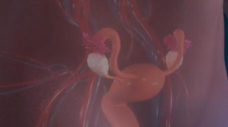 宫颈癌疫苗免费视频,关于宫颈癌疫苗的各种答疑