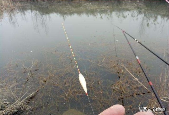 浮漂的好坏对钓鱼的影响,浮漂顶部破损会进水吗