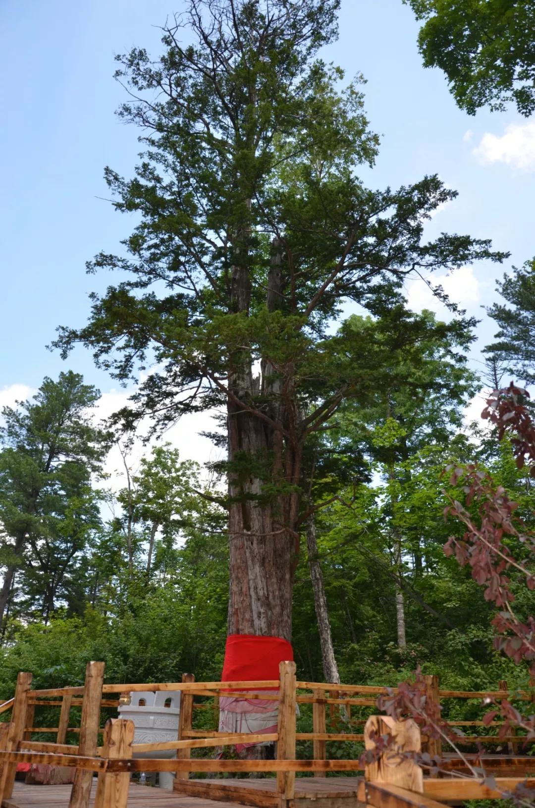 端午假期出游走哪儿这六条都别忘,端午节假期旅行