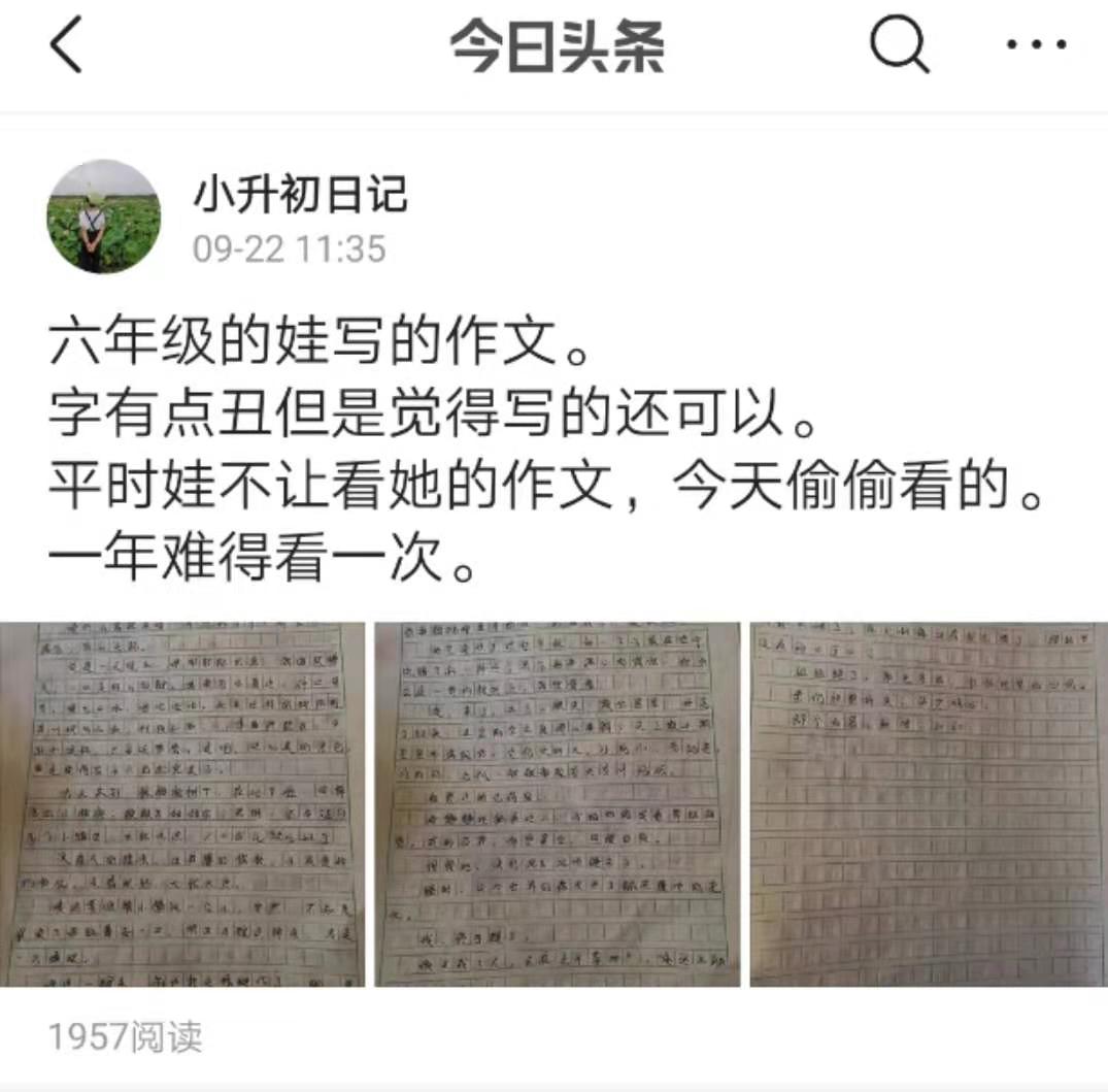 头条写作获奖励在哪里看,头条写作经验和技巧