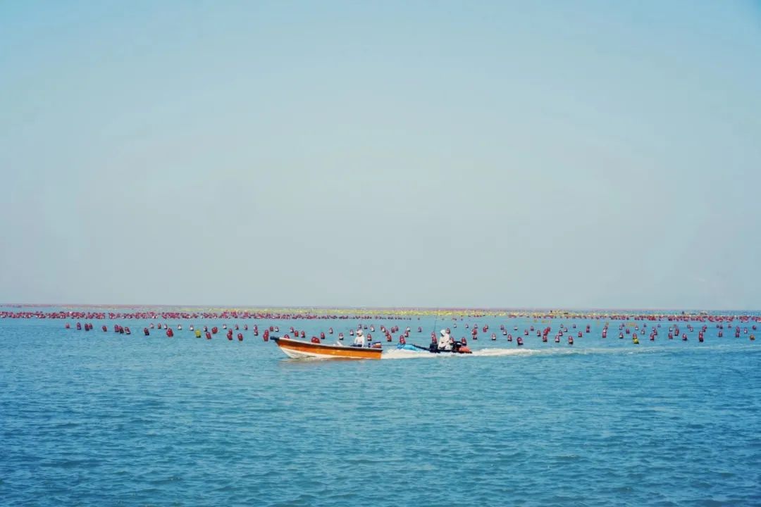年度最爱美食胜地：潮汕（不接受反驳）