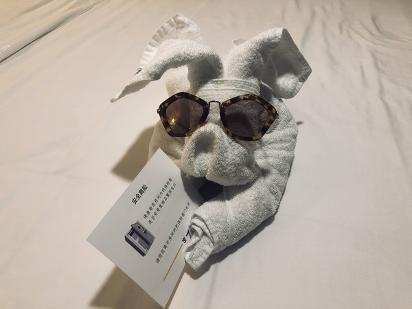 皇家加勒比海洋量子号与光谱号,皇家加勒比海洋量子号全解析