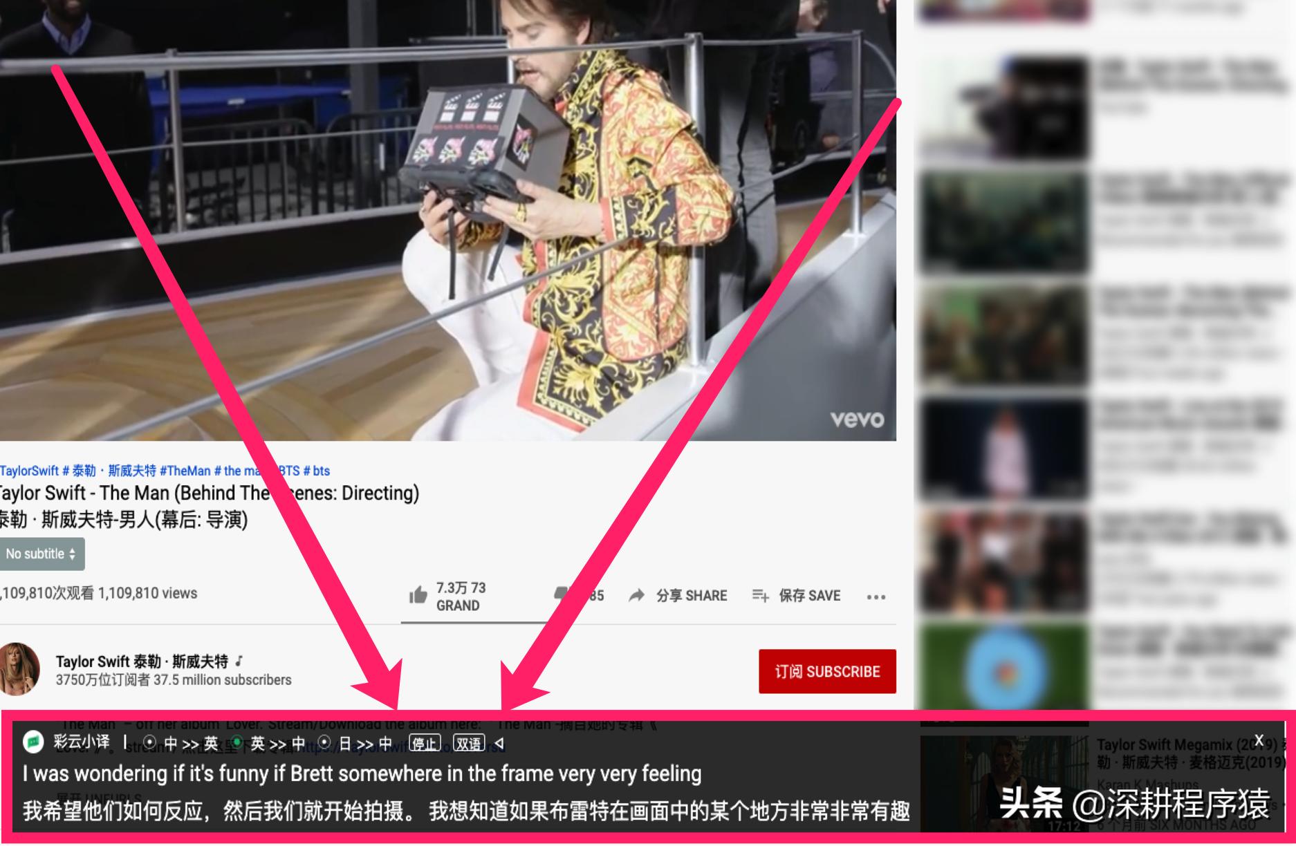 浏览器什么插件能自动翻译视频,浏览器一键翻译插件推荐