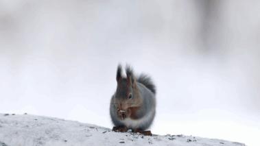 葬礼当天，她成为了四个孩子的“后妈”，网友：这是童话故事吧