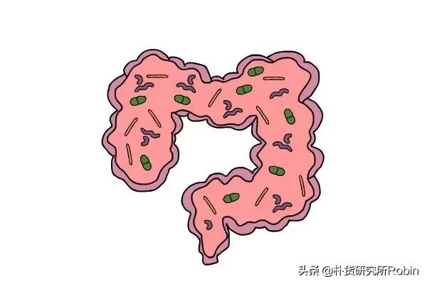 益生菌多多益善?别坑了孩子还不自知