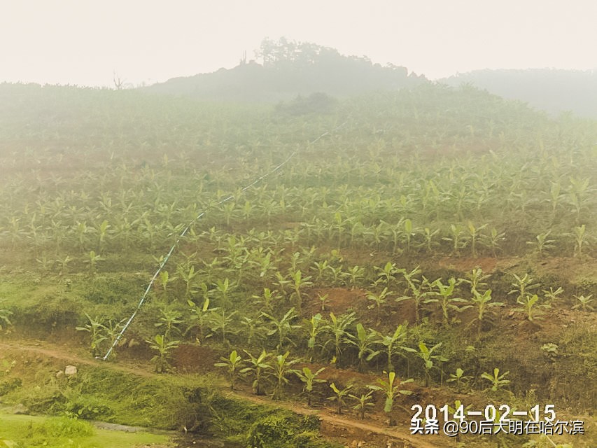 徒步去海南攻略,海南徒步环岛旅游攻略