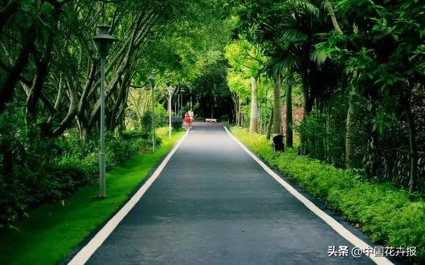 凭运气赚的钱凭本事亏完了吗,凭运气挣来的钱凭本事亏掉了