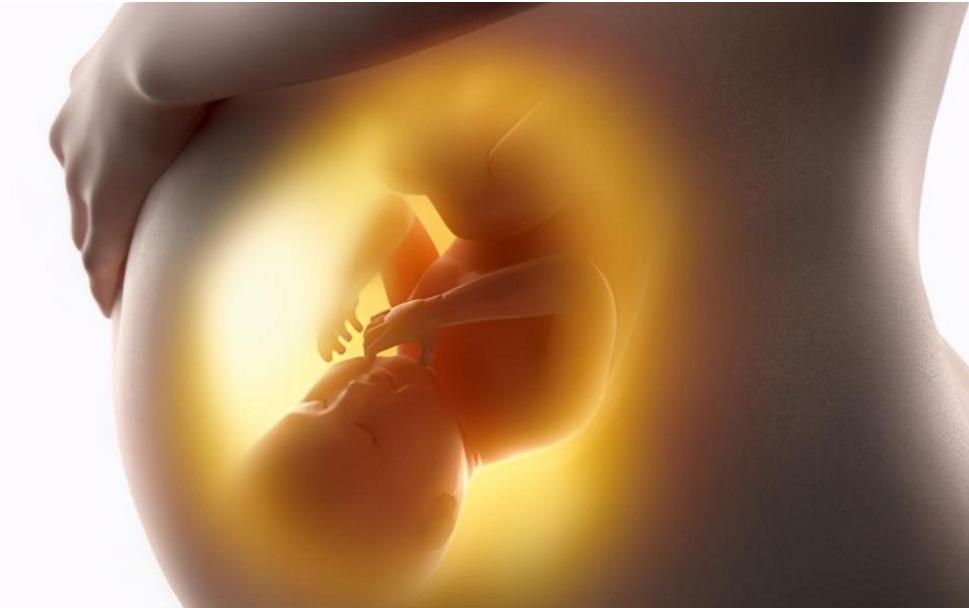 孕期最关键的是哪几周,孕期最重要的三次检查