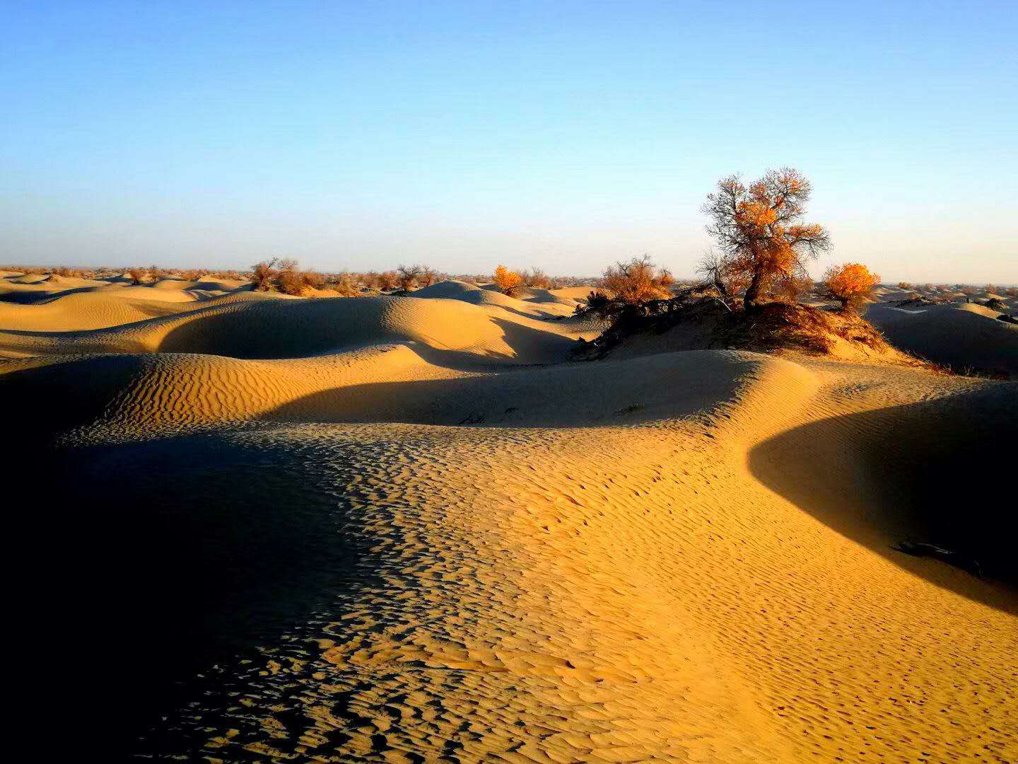 新疆怎么分东疆南疆北疆西疆,南疆北疆包括哪些地方