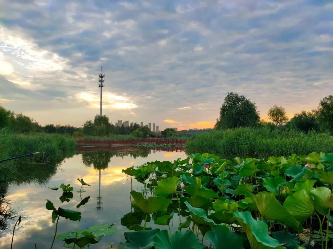 今年武清区有什么大发展,关于天津武清区发展报告