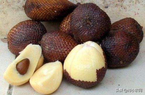 村小农,村小农网