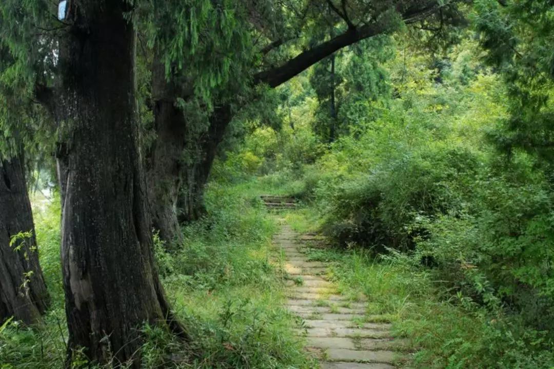 揭秘中国最神秘的“连锁酒店”国宾馆背后的故事