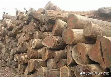 鸡翅木真假图解鉴别方法,鸡翅木实木家具的保养方法及禁忌