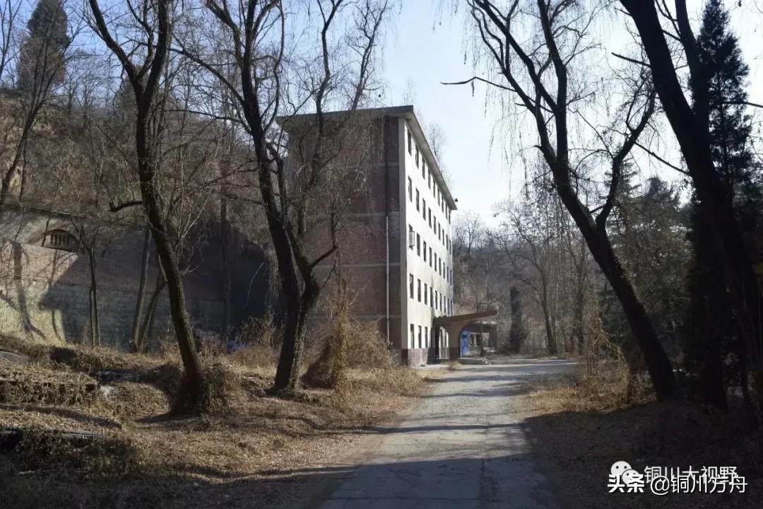 还记得当年啤酒的味道吗,铜川有什么啤酒品牌