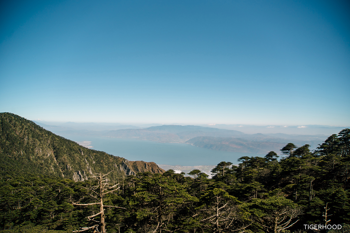太格有物北京复古咖啡师,太格有物怎么样