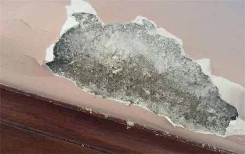 墙面泛碱处理,墙面泛碱用什么涂料解决