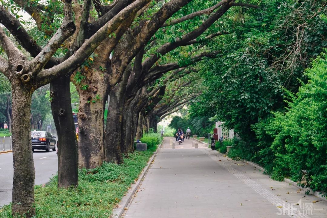 现在的蛇口,南头蛇口