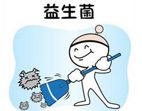 柯基拉屎拉一点点怎么回事