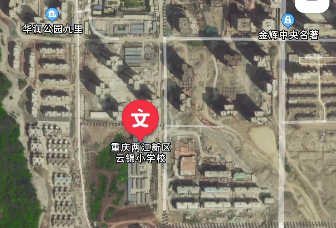 重庆中央公园配套学校,重庆中央公园南的学校