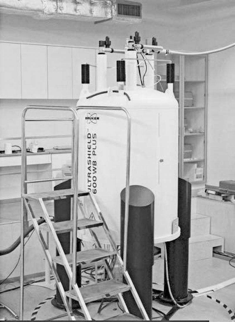 从斯特拉迪瓦里先生的木头说起