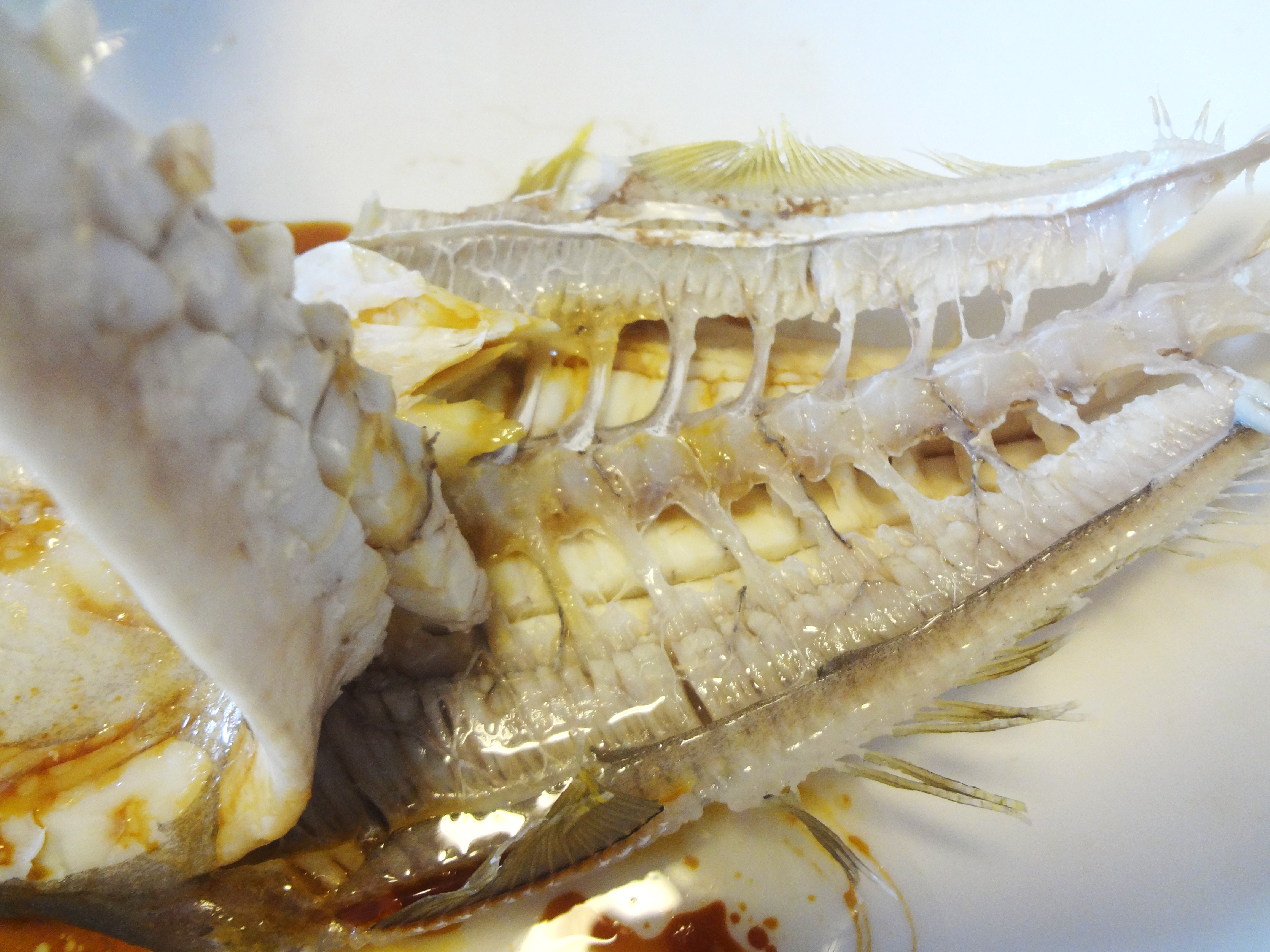 海鱼有哪些人工养殖不了的,不能人工养殖的海鱼市场上有哪些